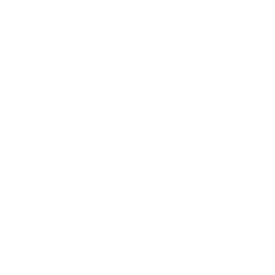 American Patriots design 11