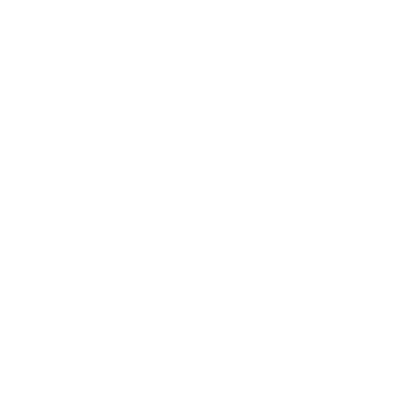 American Patriots design 16