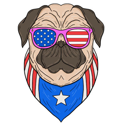 American Patriots design 37
