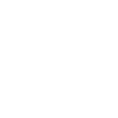American Patriots design 46