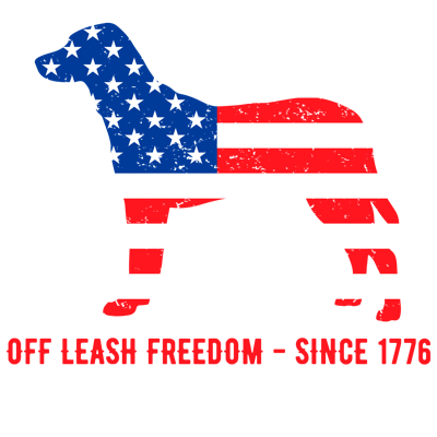 American Patriots design 48