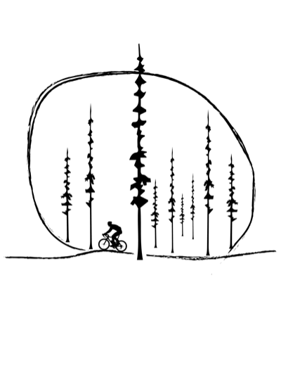 Bicycle design 47