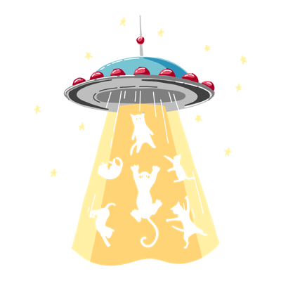 Cats design 11