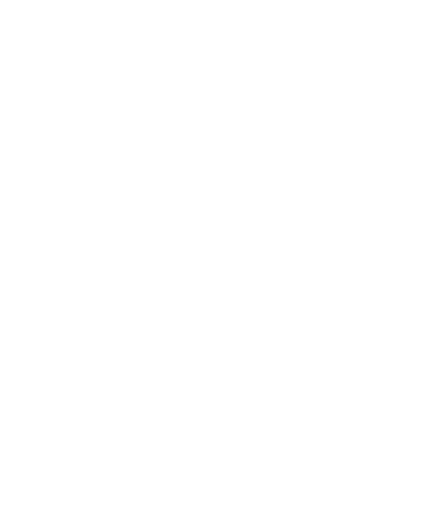 Skydiving design 21