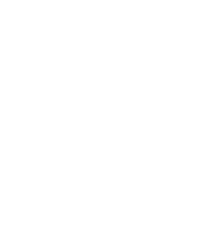Skydiving design 39