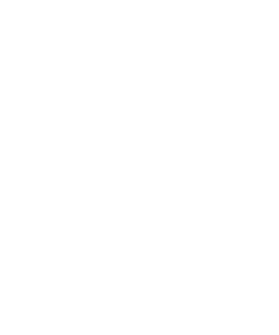 Skydiving design 42
