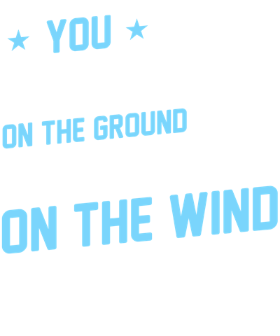 Skydiving design 47