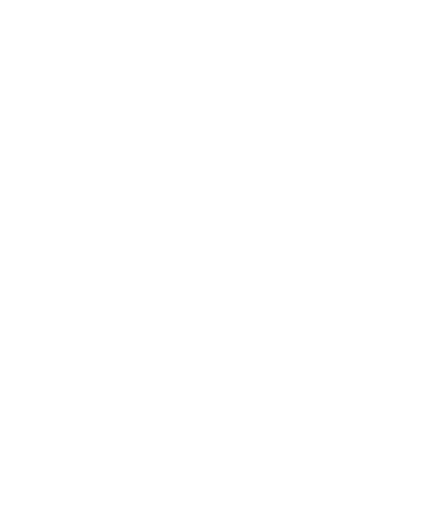 Skydiving design 48